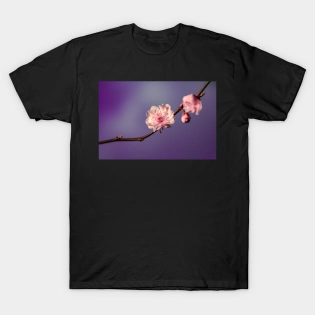 FLOWERS, NATURE’S Fashion Models T-Shirt by anothercoffee